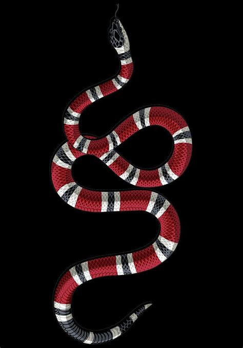 gucci snake fond d'ecran|Gucci desktop wallpaper.